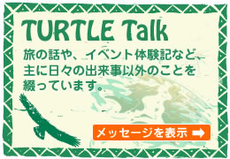 TURTLE Talk